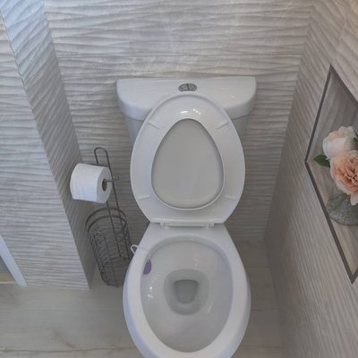 Wolf Rd Plumbing & Boiler Service Logo