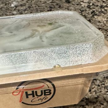 T Hub Cafe - Togo container - Bubble Tea Near Me - Mountain House, California