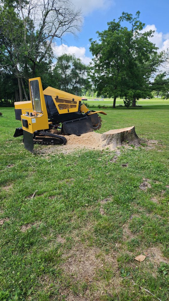 Neighborhood Stump Grinding - tree service in Springfield, MO