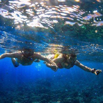Trilogy Excursions - Snorkeling Near Me - Lahaina, Hawaii