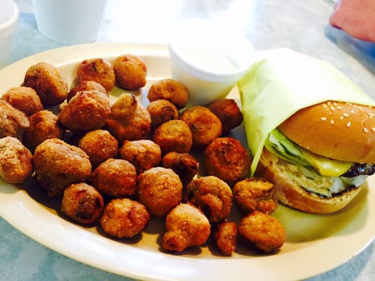 Terry's Burgers by null