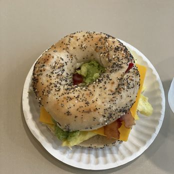 Bodo's Bagels - Everything bagel with bacon, egg, cheese, avocado - Bagels Near Me - Charlottesville, Virginia