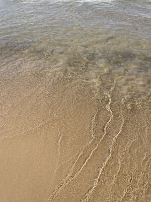 Silver Beach County Park by null