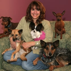 North Star Canines