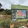 UC Santa Cruz Arboretum & Botanic Garden