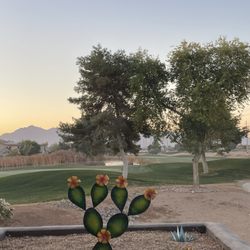 Coldwater Golf Club - Golf area