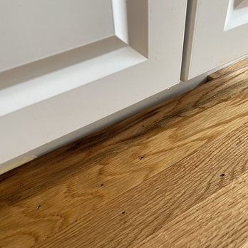 Dan hardwood floors - More gaps left from poor work - Flooring Near Me