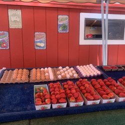 Aguilar Family Farms - Eggs & juicy jumbo strawberries.