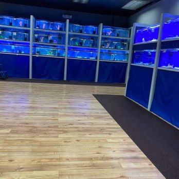 Fish Island - We sell freshwater fish and saltwater fish - Local Fish Stores Near Me - Barrington, Illinois Fish Island - We sell freshwater fish and saltwater fish - Local Fish Stores Near Me - Barrington, Illinois