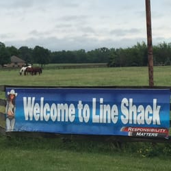 Line Shack - ..and the horses