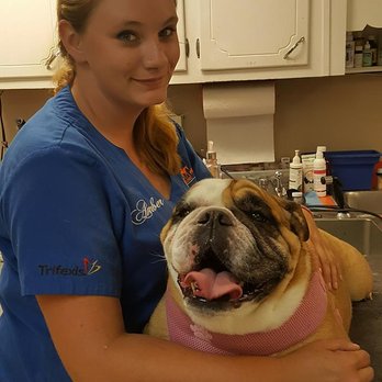 Stewart Animal Clinic - Veterinarians Near Me - Warrior, Alabama Stewart Animal Clinic - Veterinarians Near Me - Warrior, Alabama