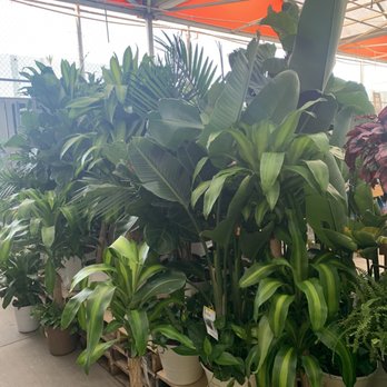 The Home Depot - Hardware Stores Near Me - Pooler, Georgia