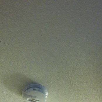 Motel 6 Gresham - dirt or blood spots on ceiling - Hotels Near Me - Portland, Oregon