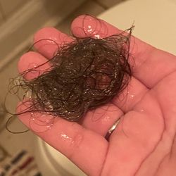 Tricoci University of Beauty Culture - 4/2024 Hair falling, snapped off from the bent hair near the roots