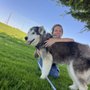 Just Food For Dogs