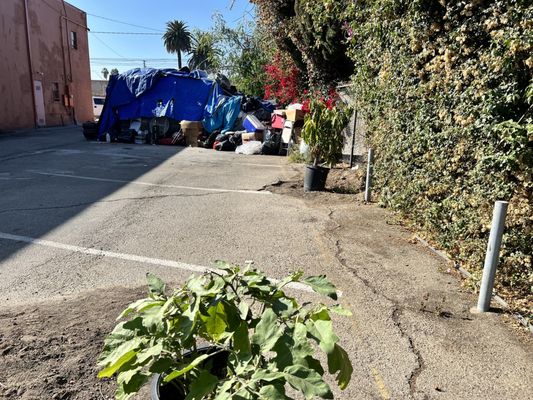 POOLSIDE INN MOTEL - Updated January 2025 - 611 W Pacific Coast Hwy