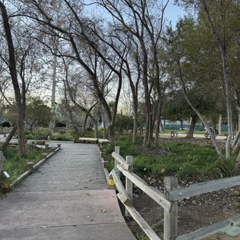 Edith Morley Park - Parks Near Me - Campbell, California