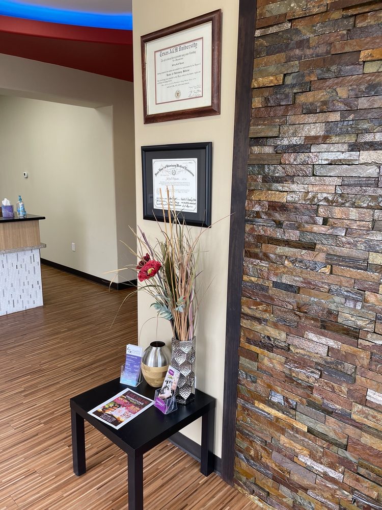 COLLIN COUNTY VETERINARY IMAGING CENTER Updated July 2024 5353