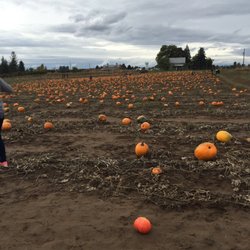 Eleven Acres Farm