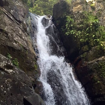 El Yunque Rainforest - La Mina Falls - Hiking Near Me - Luquillo, Puerto Rico El Yunque Rainforest - La Mina Falls - Hiking Near Me - Luquillo, Puerto Rico