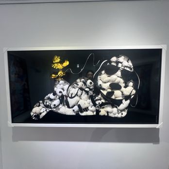 Chic Evolution in Art - Art Galleries Near Me - Fort Lauderdale, Florida