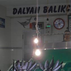 Dalyan Balıkçısı