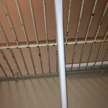 Two Maids - Auburn - After my $307 cleaning - Home Cleaning Near Me - Auburn, Alabama Two Maids - Auburn - After my $307 cleaning - Home Cleaning Near Me - Auburn, Alabama