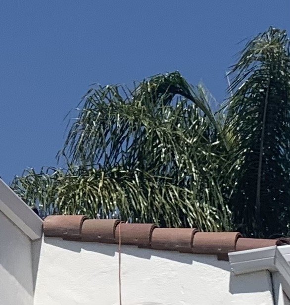 Slide of Golden State Roofer