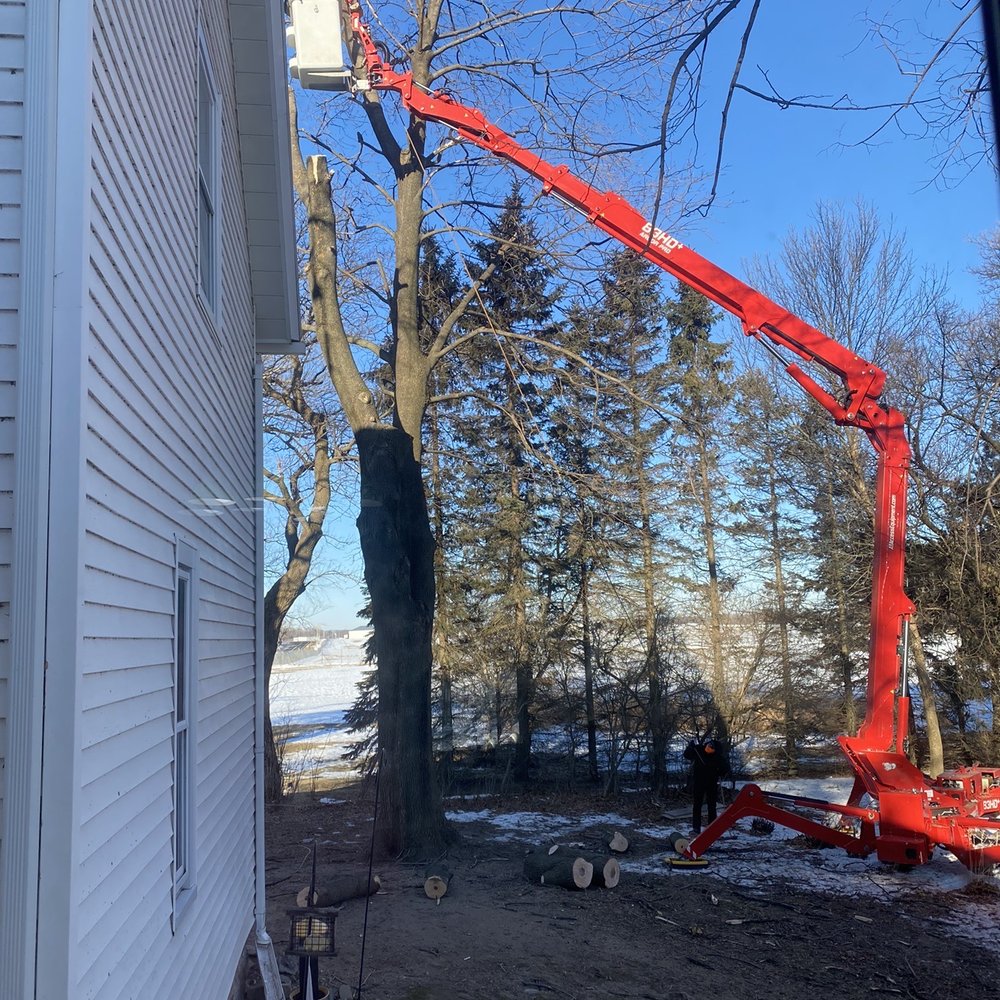 Jr’s Tree Service - Trimming branches very close to house efficiently. - Tree Services Near Me Jr’s Tree Service - Trimming branches very close to house efficiently. - Tree Services Near Me