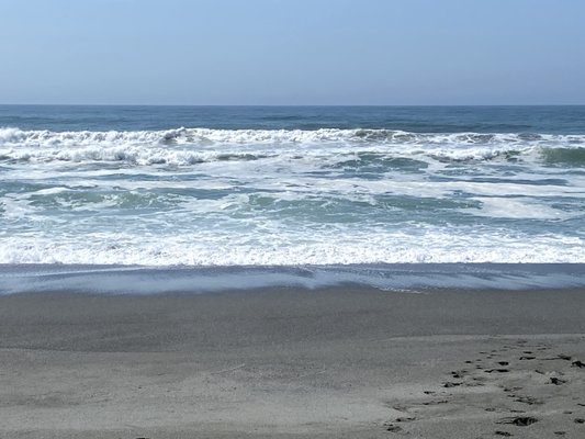 Gold Bluffs Beach Campground by null