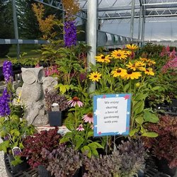 Shady Acres Perennial Nursery