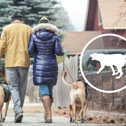 Johnson Nolan Law - If you or a family member are the victim of an attack, contact dog bite lawyer Gary R. Johnson for a free consultation.