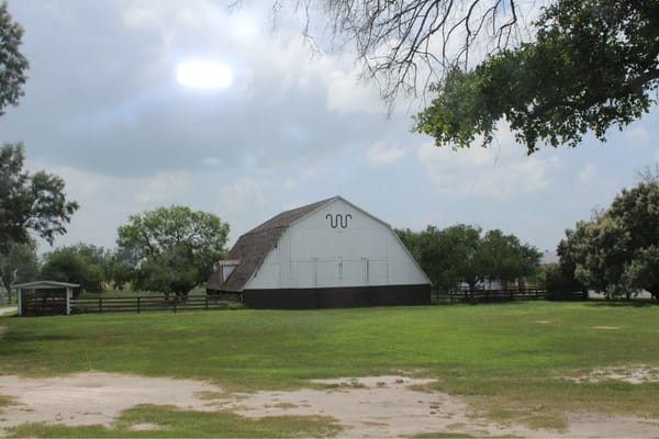 King Ranch by null