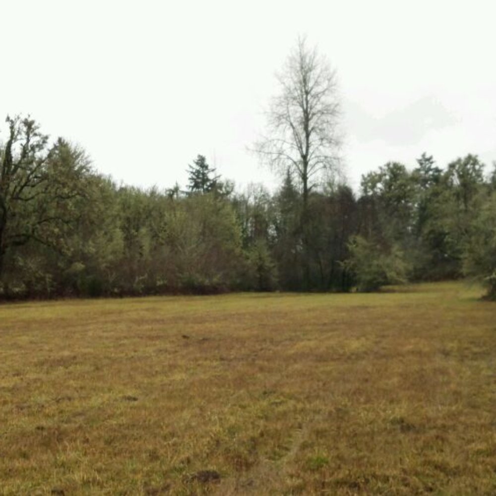 Kirk Park - Parks Near Me - Junction City, Oregon