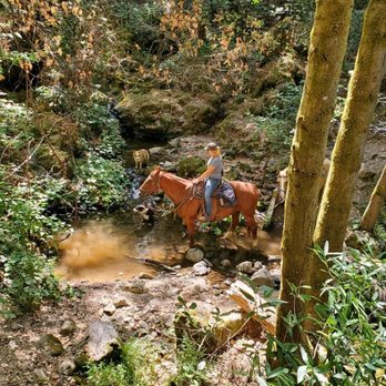 Valley Horse Center - Pets Near Me - Red Bluff, California
