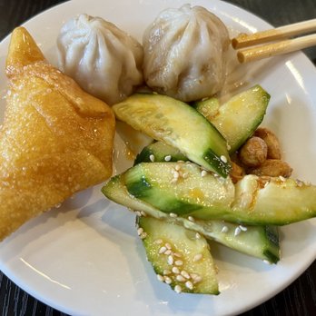 Chenji Noodle House - My appetizer plate - Chinese Near Me - Temple Terrace, Florida