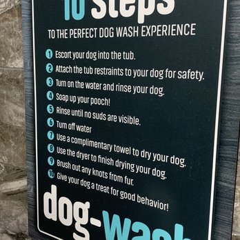Pet Supermarket - The Perfect Dog Wash Experience! - Pet Stores Near Me - Tampa, Florida Pet Supermarket - The Perfect Dog Wash Experience! - Pet Stores Near Me - Tampa, Florida