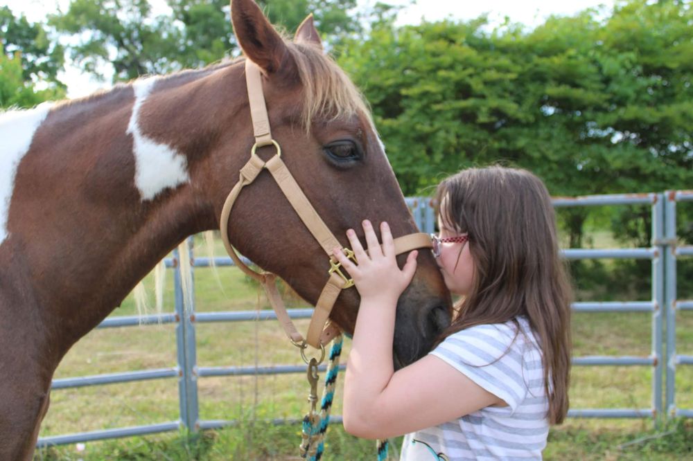 Pearce Horse Rescue and Rehab - equestrian in Marbury, AL