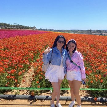 The Flower Fields - Venues & Event Spaces Near Me - Carlsbad, California The Flower Fields - Venues & Event Spaces Near Me - Carlsbad, California