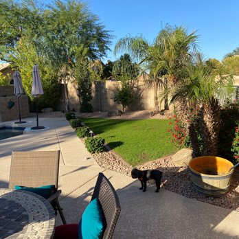 Nevarez Landscape - Landscape thriving with my new irrigation & Hectors newly planted grass! - Landscaping Near Me Nevarez Landscape - Landscape thriving with my new irrigation & Hectors newly planted grass! - Landscaping Near Me