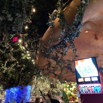 Rainforest Cafe - American Near Me - Auburn Hills, Michigan Rainforest Cafe - American Near Me - Auburn Hills, Michigan