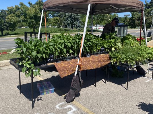 Northside Farmers' Market by null