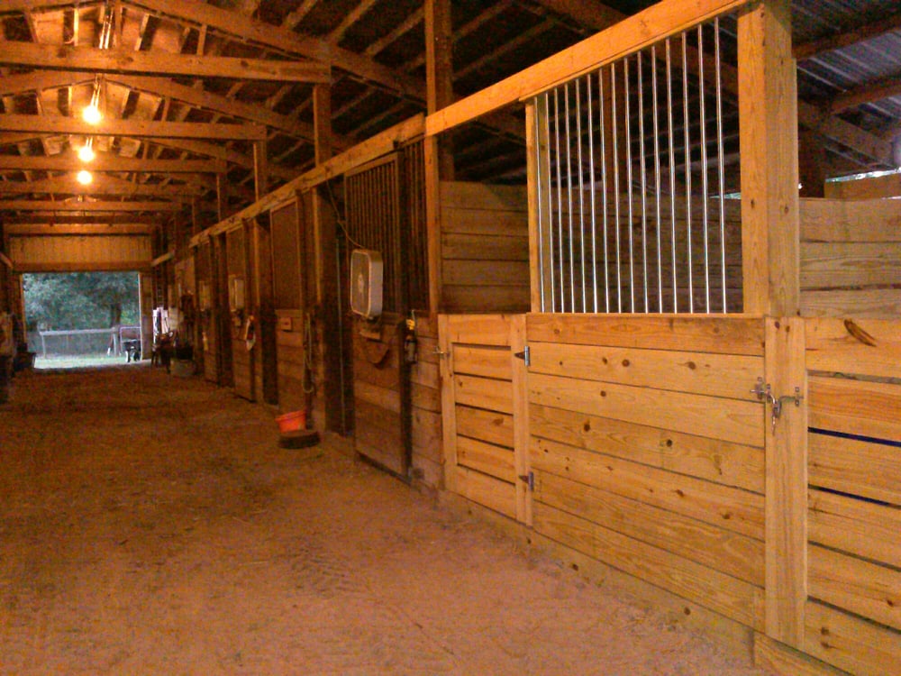 Black Grove Stables - equestrian in Dade City, FL