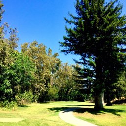 Hit in between the trees. Easier said than done. Lol