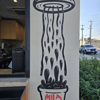 Mila Coffee - Cute artwork where you pick up your order - Coffee & Tea Near Me - San Antonio, Texas Mila Coffee - Cute artwork where you pick up your order - Coffee & Tea Near Me - San Antonio, Texas