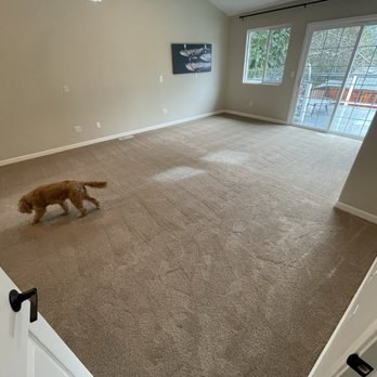 Warehouse Direct Flooring Outlet - New carpet installed - Flooring Near Me - Santa Cruz, California Warehouse Direct Flooring Outlet - New carpet installed - Flooring Near Me - Santa Cruz, California