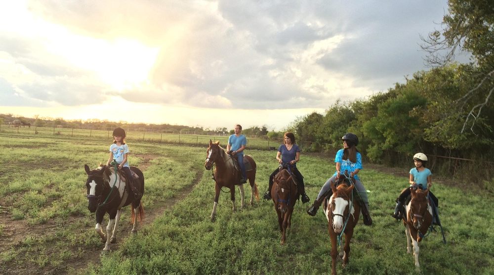 Willow Horseback Riding of Austin - equestrian in Austin, TX