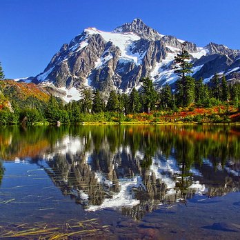 Cascade Septic Pumping - Septic Services Near Me - Arlington, Washington Cascade Septic Pumping - Septic Services Near Me - Arlington, Washington