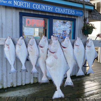 North Country Halibut Charters - West Cape catch on a bad fishing day - Fishing Near Me - Homer, Alaska North Country Halibut Charters - West Cape catch on a bad fishing day - Fishing Near Me - Homer, Alaska