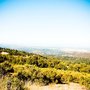 Photo of Midpeninsula Regional Open Space District